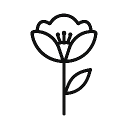 Viva mais saude e beleza